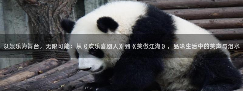 众腾娱乐