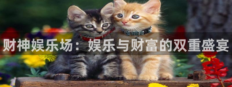 众腾娱乐