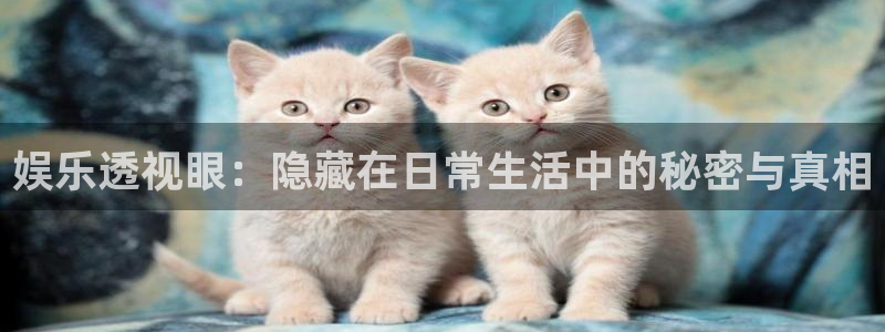 众腾娱乐