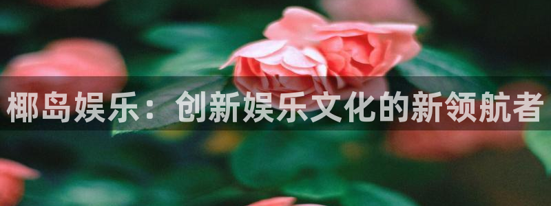 众腾娱乐